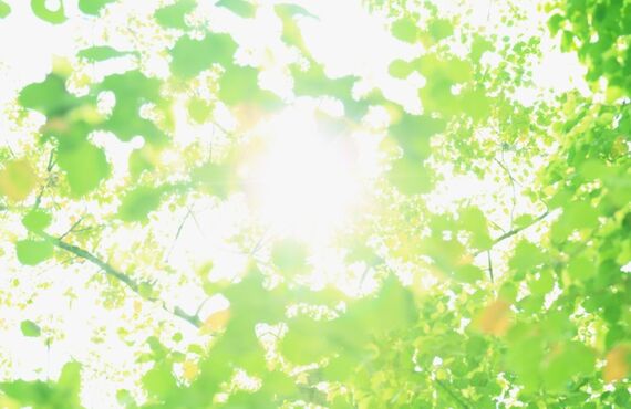 千葉市でスターギャラクシーをするなら　AQC Nail